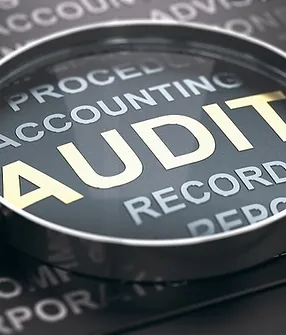 Shërbime Auditimi